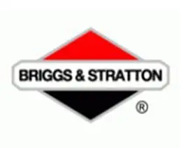Resize_0000_Briggs Stratton